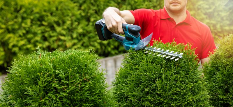 Landscape Trimming Service in Ventura County, CA