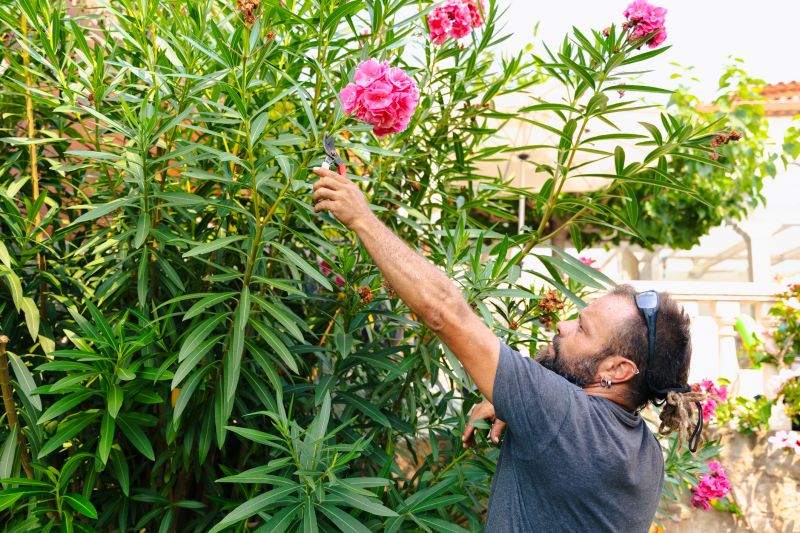Shrub Trimming in Aiken, SC