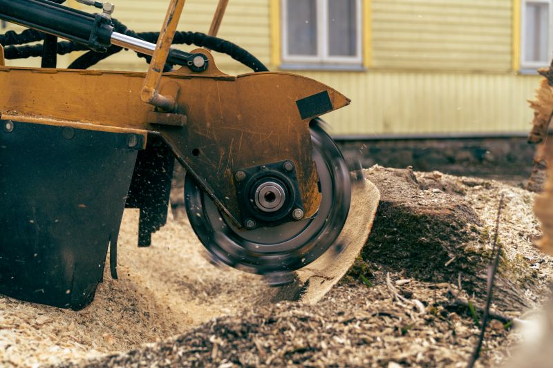 Stump Cutting in Calvert County, MD