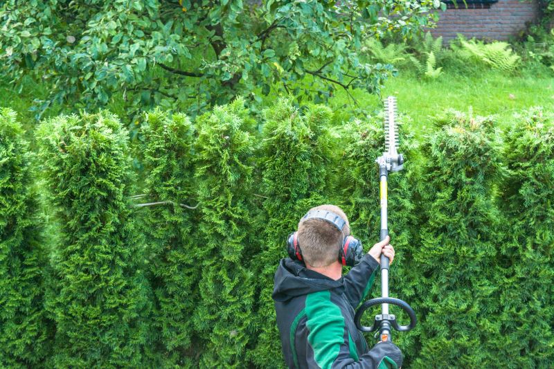 Arborvitae Pruning in Rockwall, TX