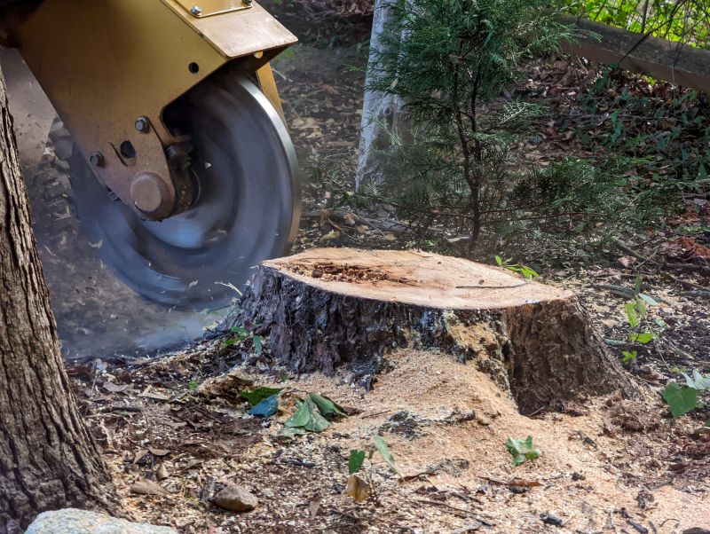 Bush Stump Grinding in Calvert County, MD