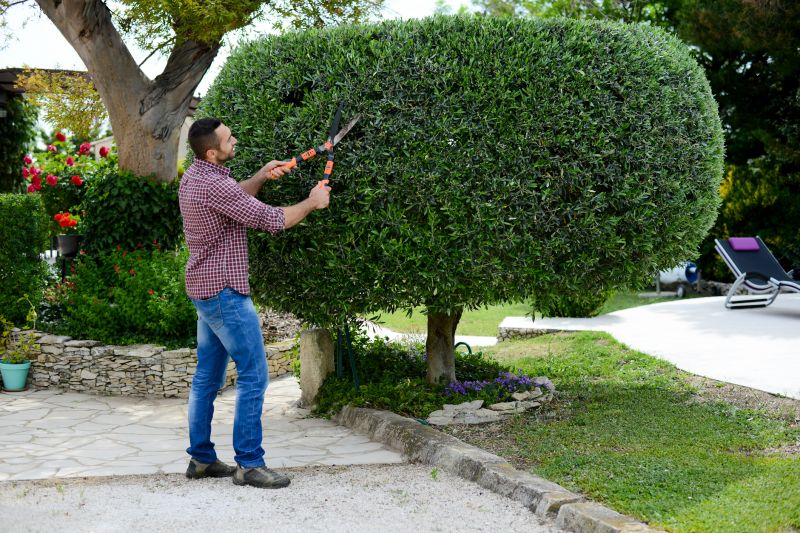 Bush Trimming Service in Aiken, SC