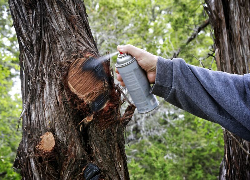Cedar Tree Trimming in Doylestown, PA