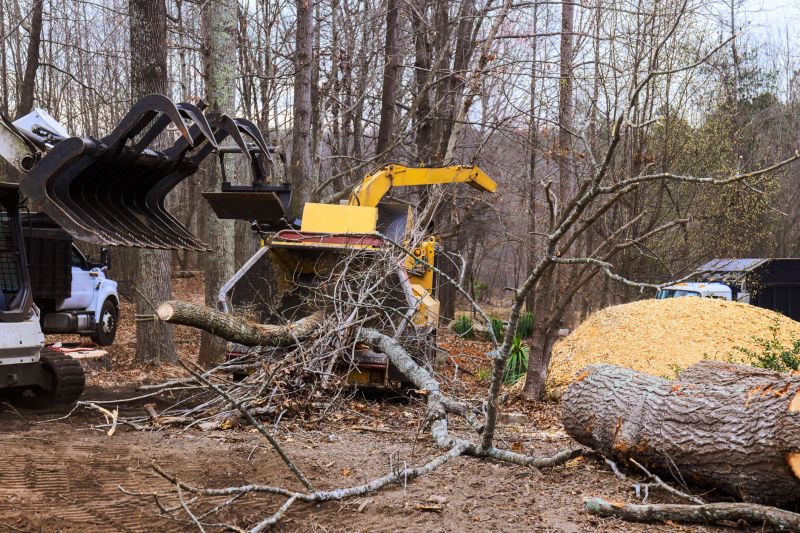 Cherry Tree Removal in San Jose, CA