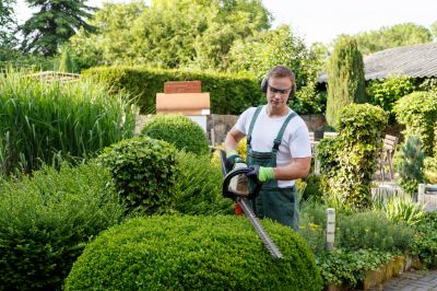 Commercial Shrub Trimming in Ventura County, CA