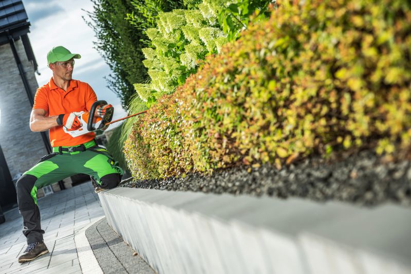 Commercial Shrub Trimming in Rockwall, TX