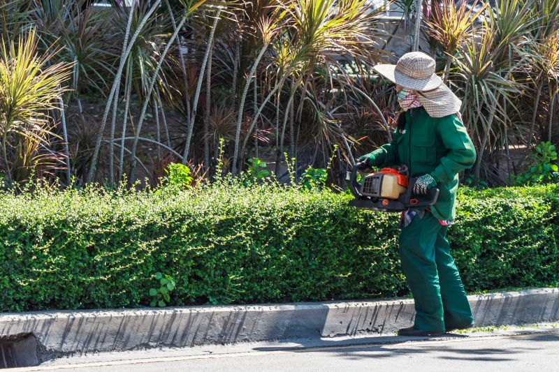 Commercial Shrub Trimming in Aiken, SC