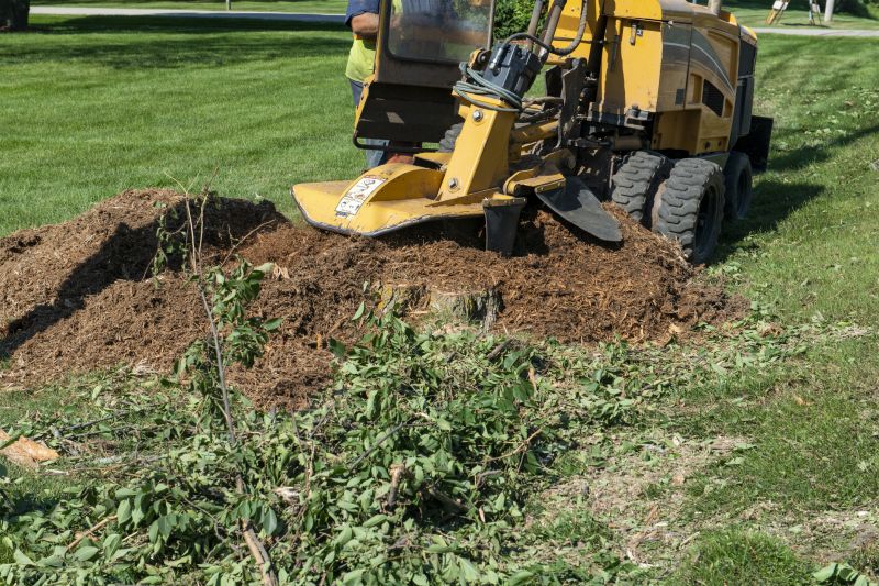 Commercial Stump Grinding in Pottstown, PA