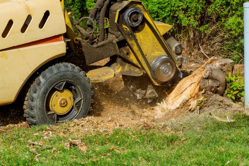 Commercial Stump Grinding in Pottstown, PA