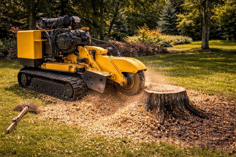 Commercial Stump Grinding in Pottstown, PA