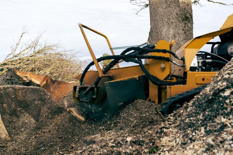 Commercial Stump Grinding in Allentown, PA