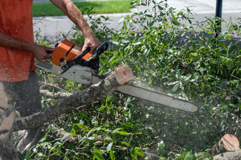 Commercial Tree Trimming in Littleton, CO