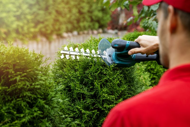 Evergreen Hedge Trimming in Ventura County, CA