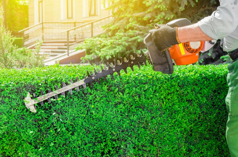 Evergreen Hedge Trimming in Ventura County, CA