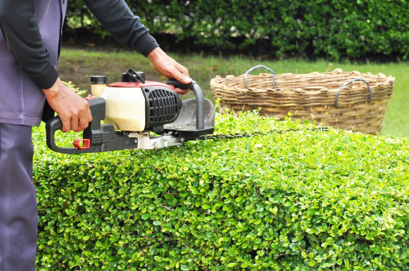 Hedge Removal Service in Aiken, SC