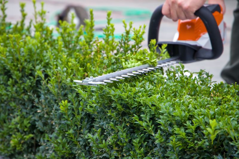Hedge Trimming in Aiken, SC
