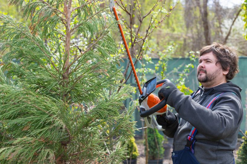 Juniper Trimming in Rockwall, TX