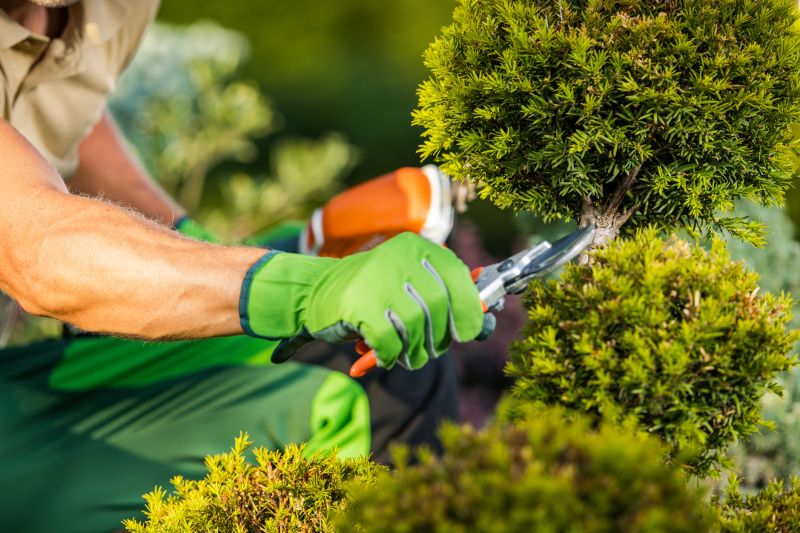 Landscape Trimming Service in Aiken, SC