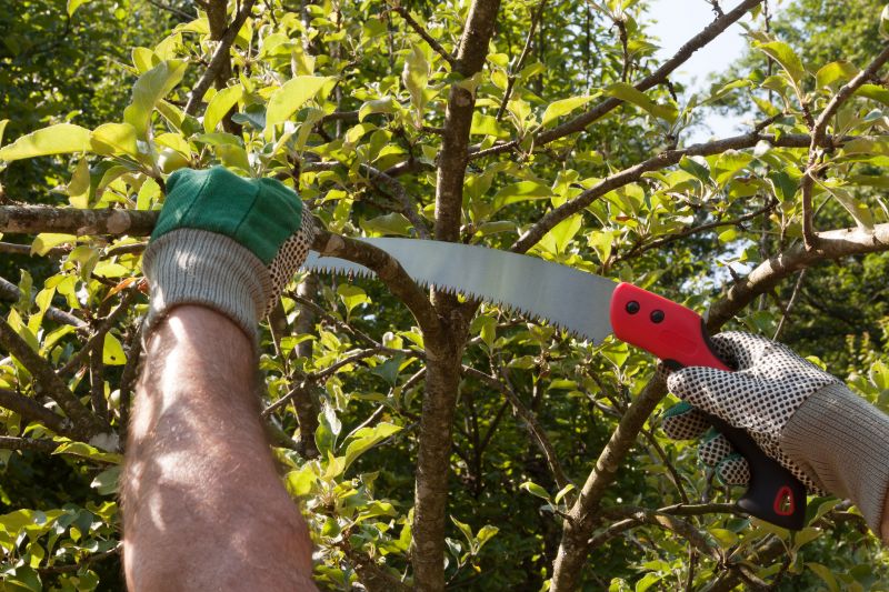 Orchard Tree Pruning in Doylestown, PA