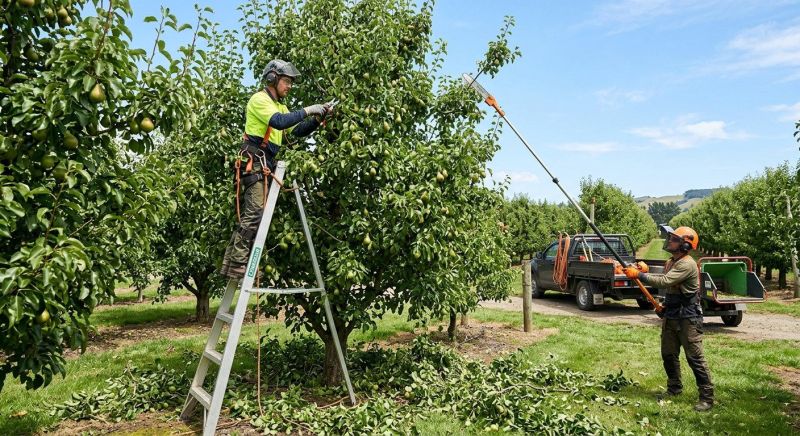 Peach Tree Pruning in Doylestown, PA