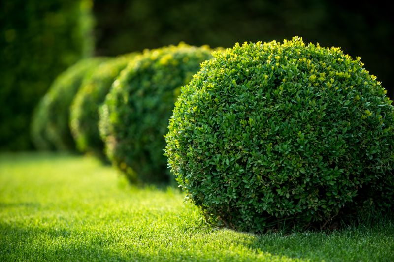 Shrub Pruning in Rockwall, TX