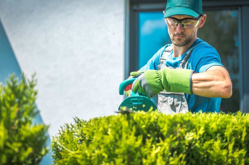 Shrub Trimming in Rockwall, TX