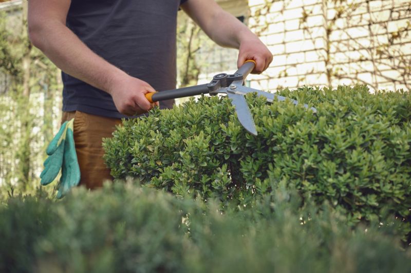 Shrub Trimming in Aiken, SC