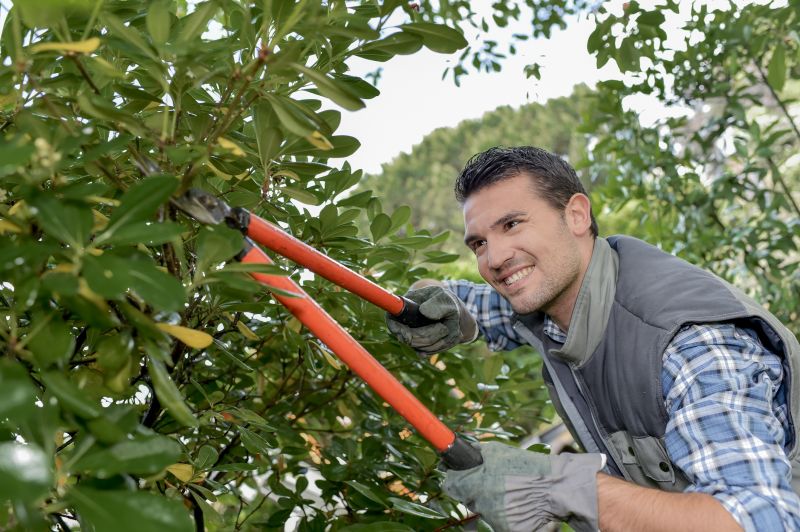 Shrub Trimming in Honolulu, HI