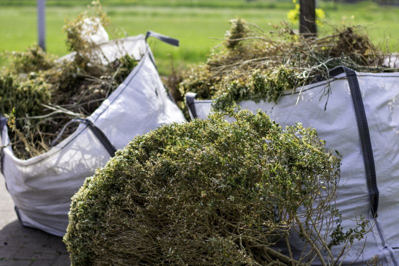 Shrubs Removal in Aiken, SC