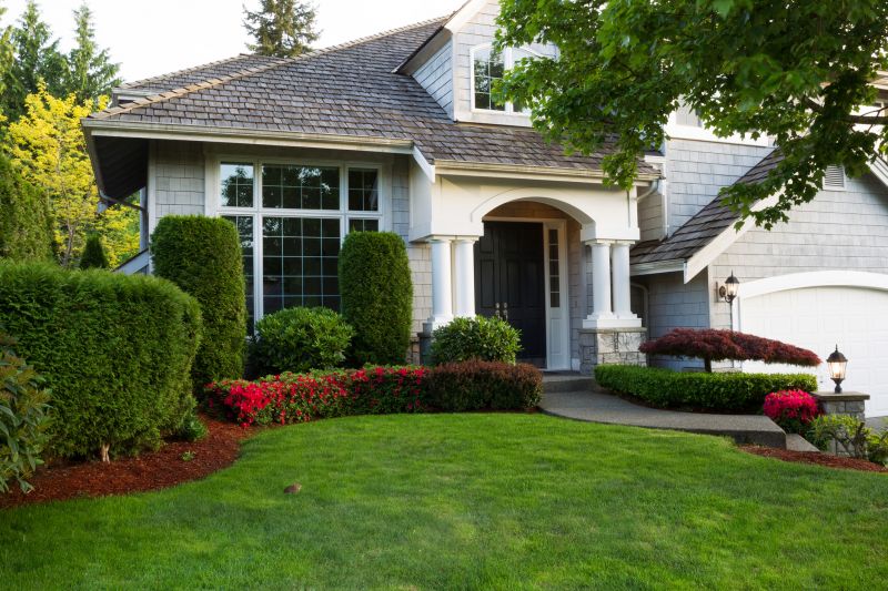 Shrubs Removal in Aiken, SC