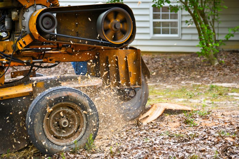 Stump Grinding Service in Waldorf, MD