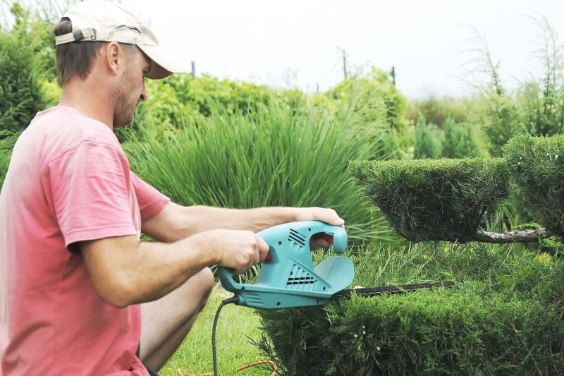 Topiary Shaping in Aiken, SC