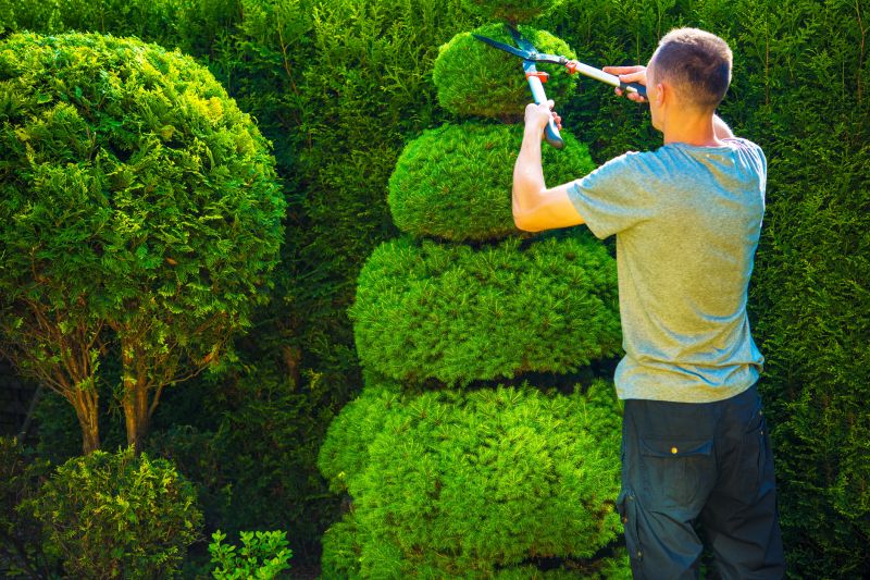 Topiary Shaping in Ventura County, CA