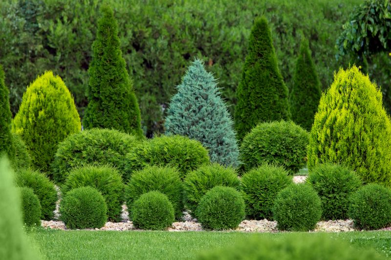 Topiary Shaping in Ventura County, CA