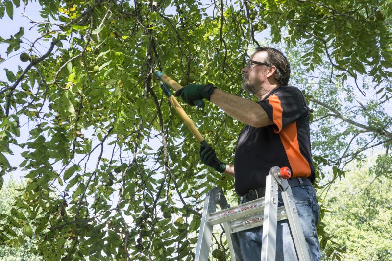 Tree Branch Cutting in Doylestown, PA