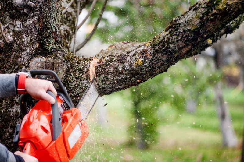 Tree Limbs Removal in Doylestown, PA