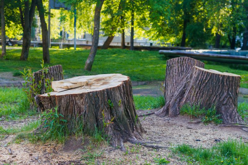 Tree Stump Removal in Calvert County, MD